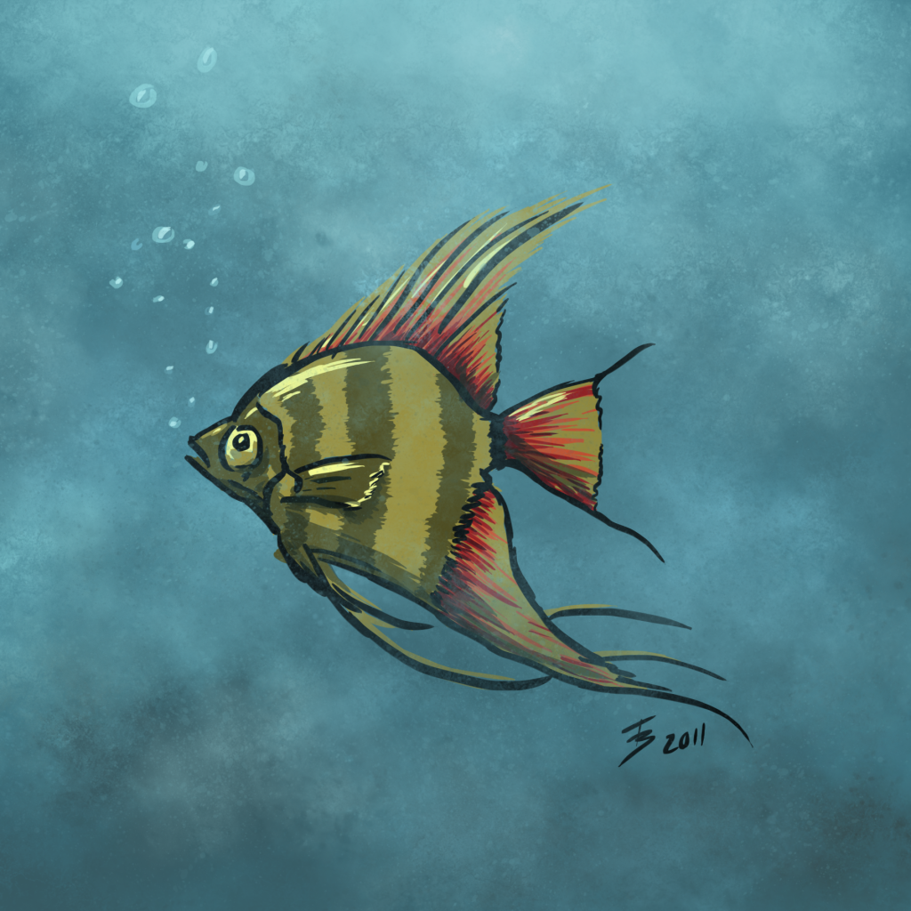 tropical-fish