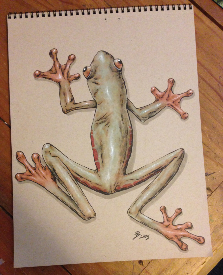 tree frog with Copic markers